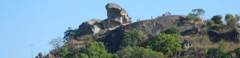 Toad Rock