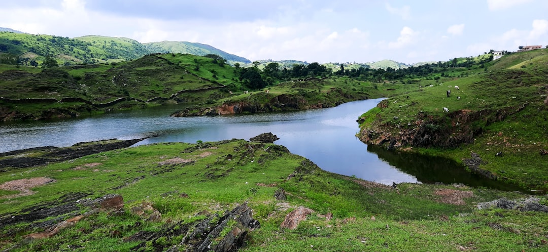 green grass field near lake under white clouds during daytime